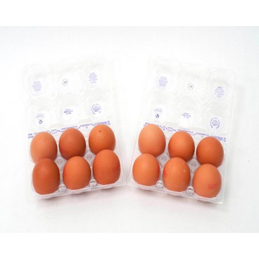 Huevos frescos de clase A. Tamaño XL